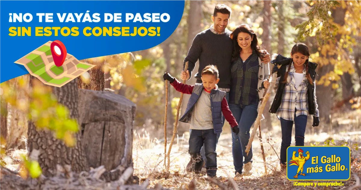 ¡Checklist de lo que no te puede faltar en un paseo!